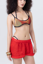 Brief Origin